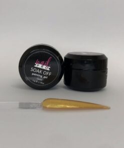 NAIL PRO GEL PAINT- DORADO 10gr - INS1238